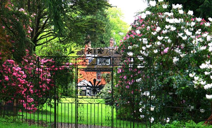 The Iconic Wembley Gate in bloom
